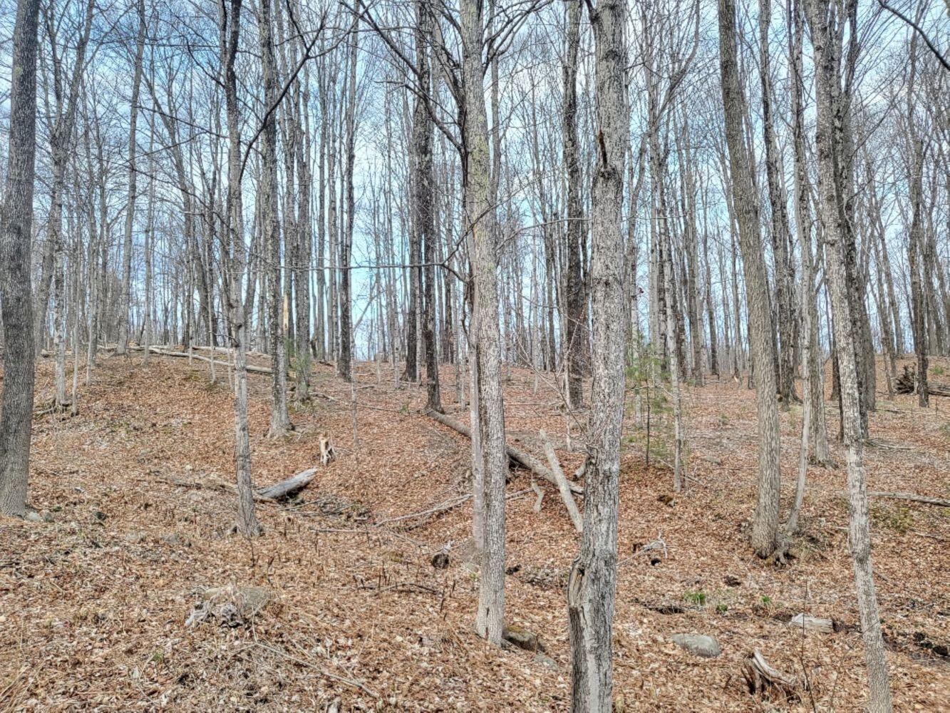 M34 L183-1 Temple Road Wilton ME 04294