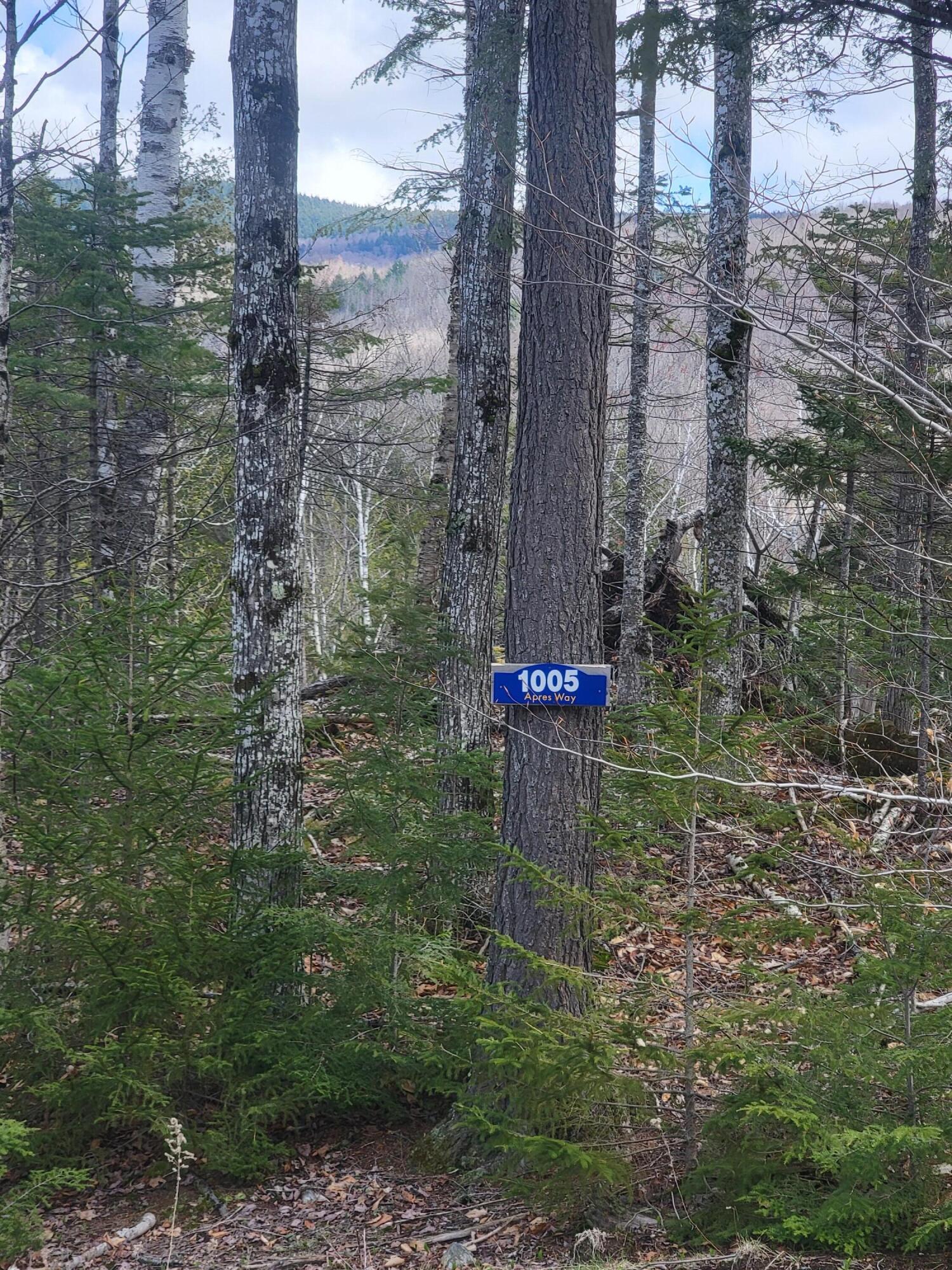 1005 Apres Way Carrabassett Valley ME 04947