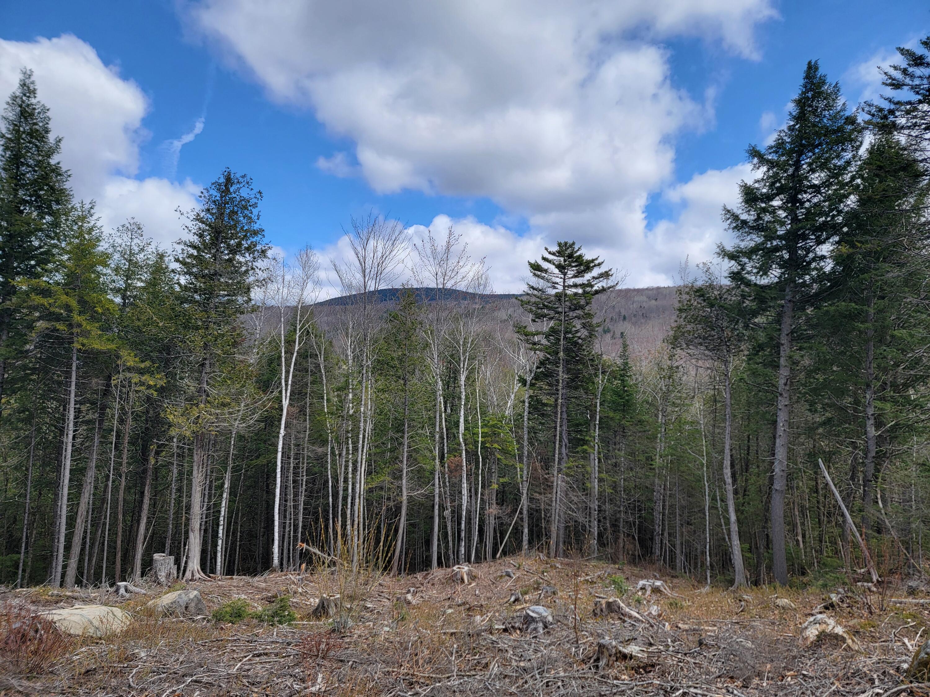 1005 Apres Way Carrabassett Valley ME 04947