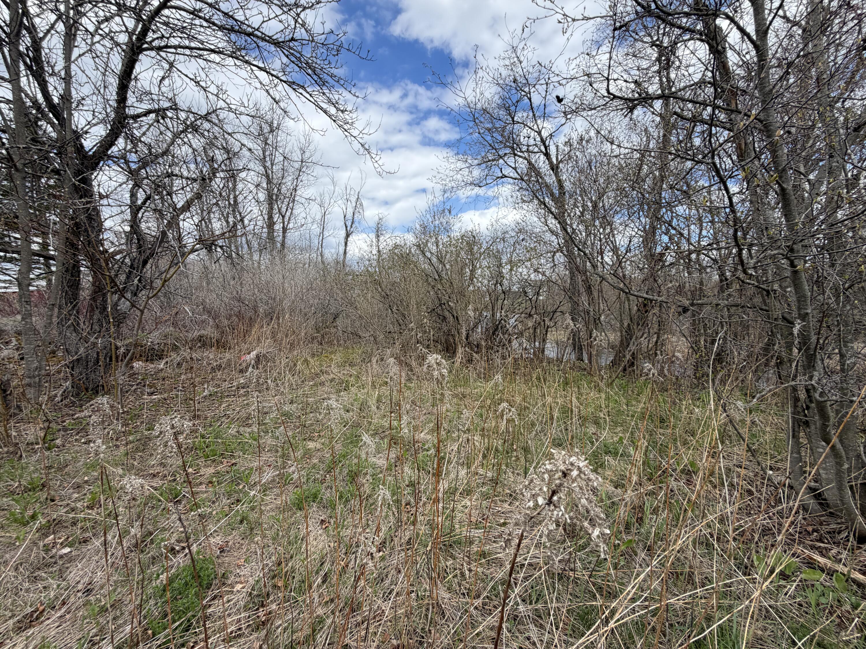 Lot 7 B Road Houlton ME 04730