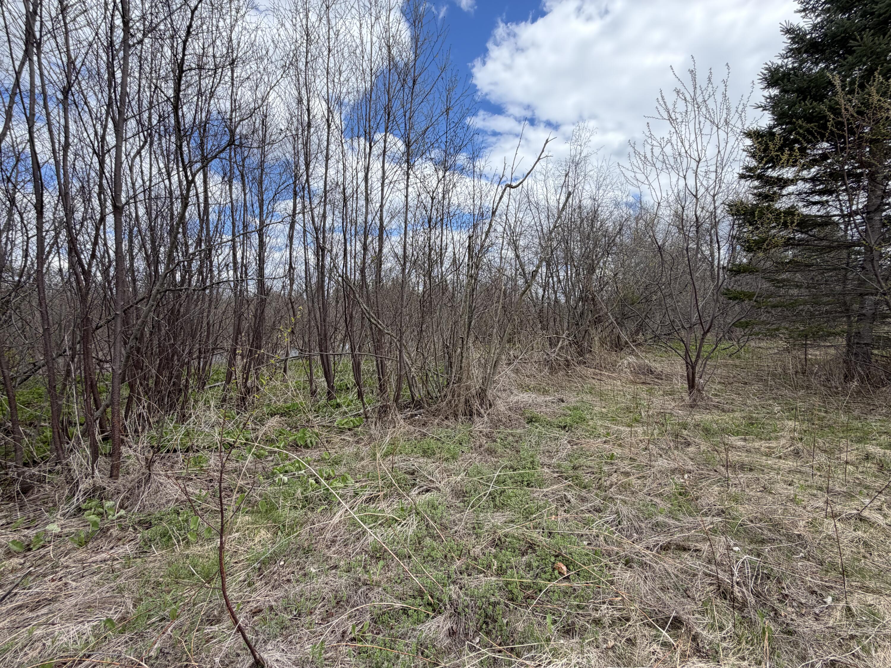 Lot 7 B Road Houlton ME 04730