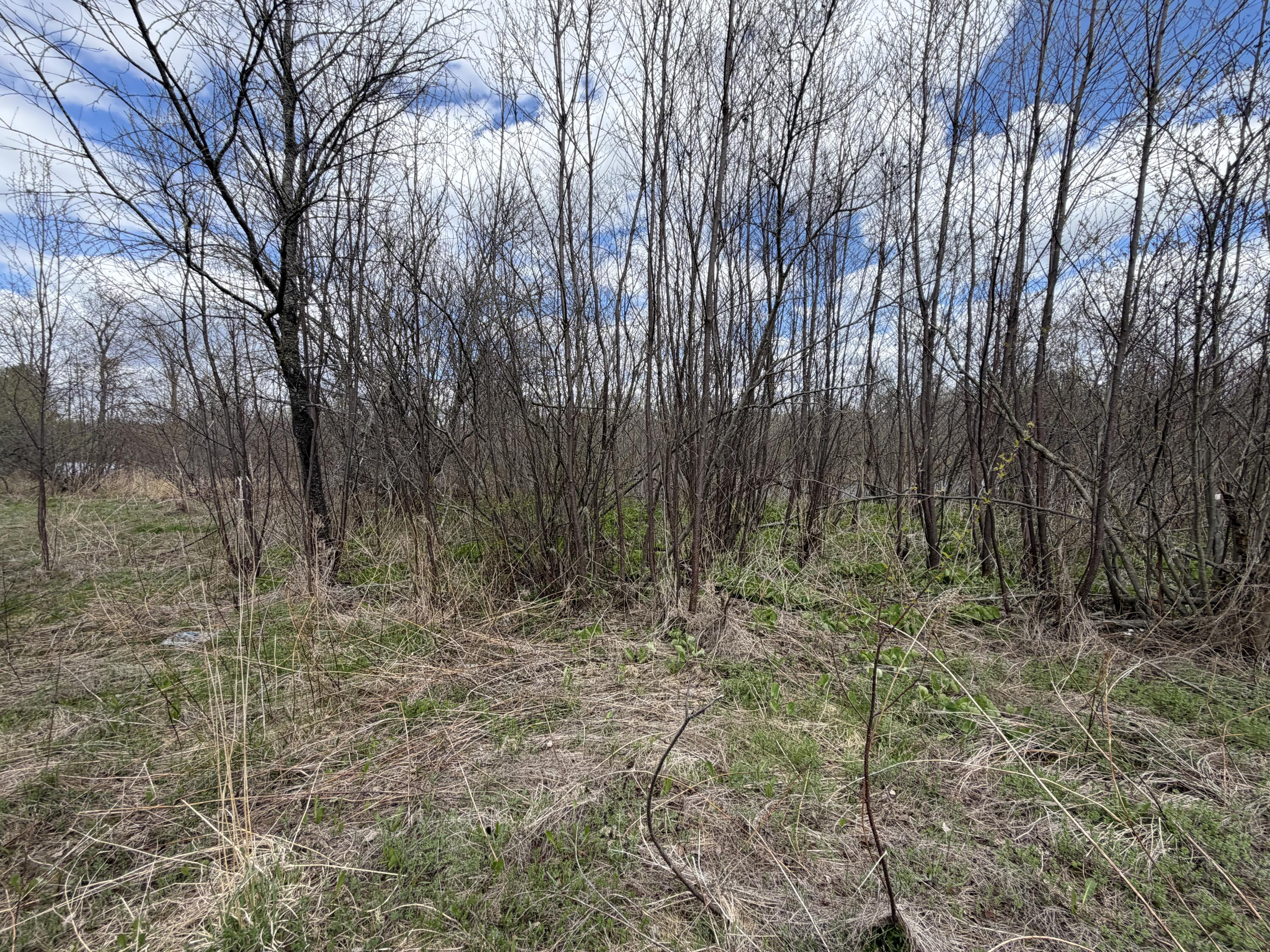 Lot 7 B Road Houlton ME 04730