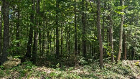 Lot 36-c Diller Line Chesterville ME 04938