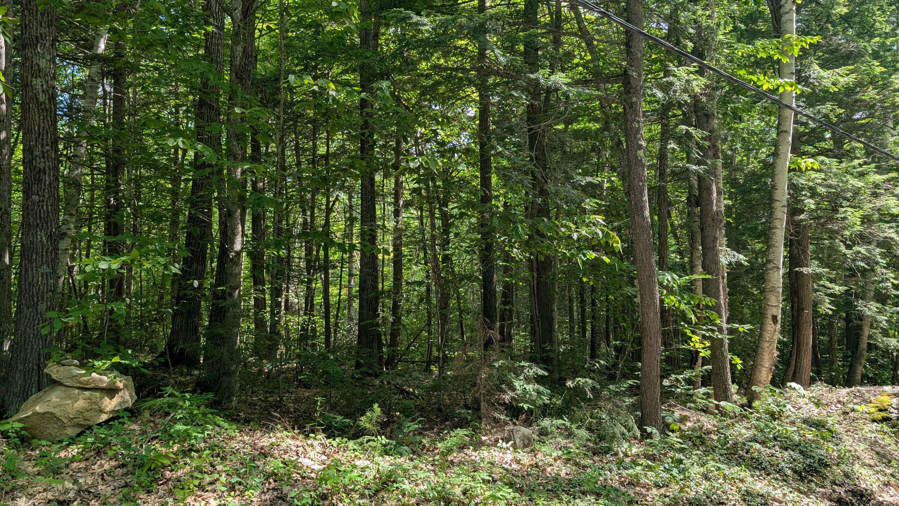 Lot 36-c Diller Line Chesterville ME 04938