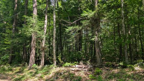 Lot 36-c Diller Line Chesterville ME 04938