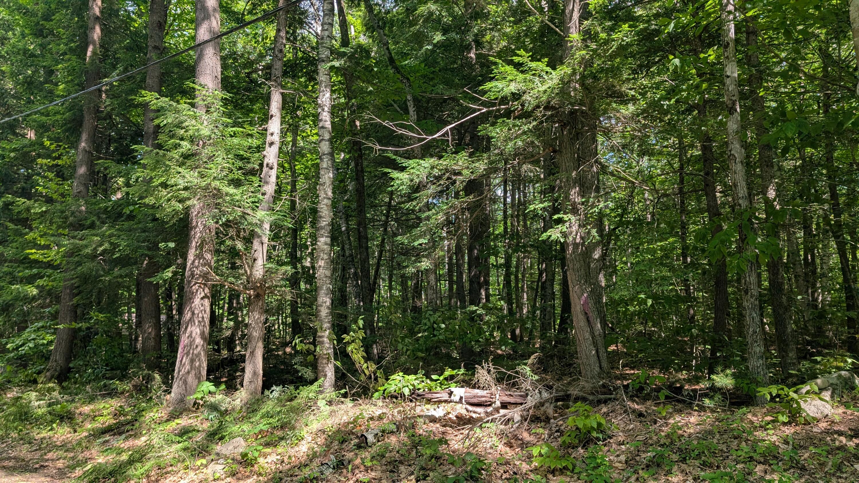 Lot 36-c Diller Line Chesterville ME 04938