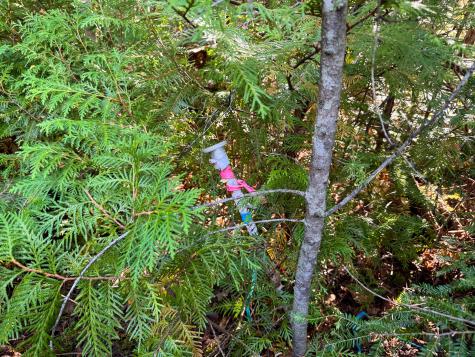 P/o Lot 6 Higgins Farm Road Calais ME 04619