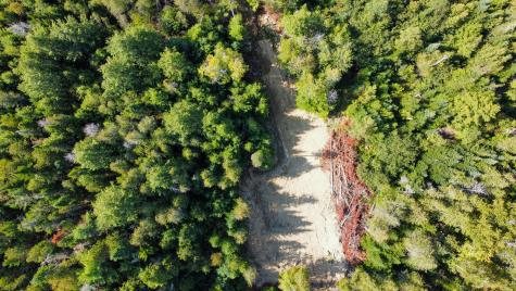 P/o Lot 6 Higgins Farm Road Calais ME 04619