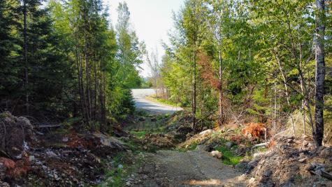 P/o Lot 6 Higgins Farm Road Calais ME 04619