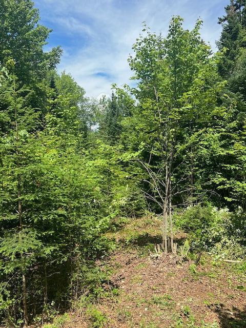 11 Mill Brook Road Sandy River Plt ME 04970