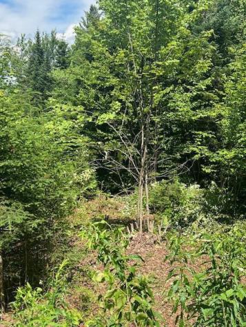 11 Mill Brook Road Sandy River Plt ME 04970