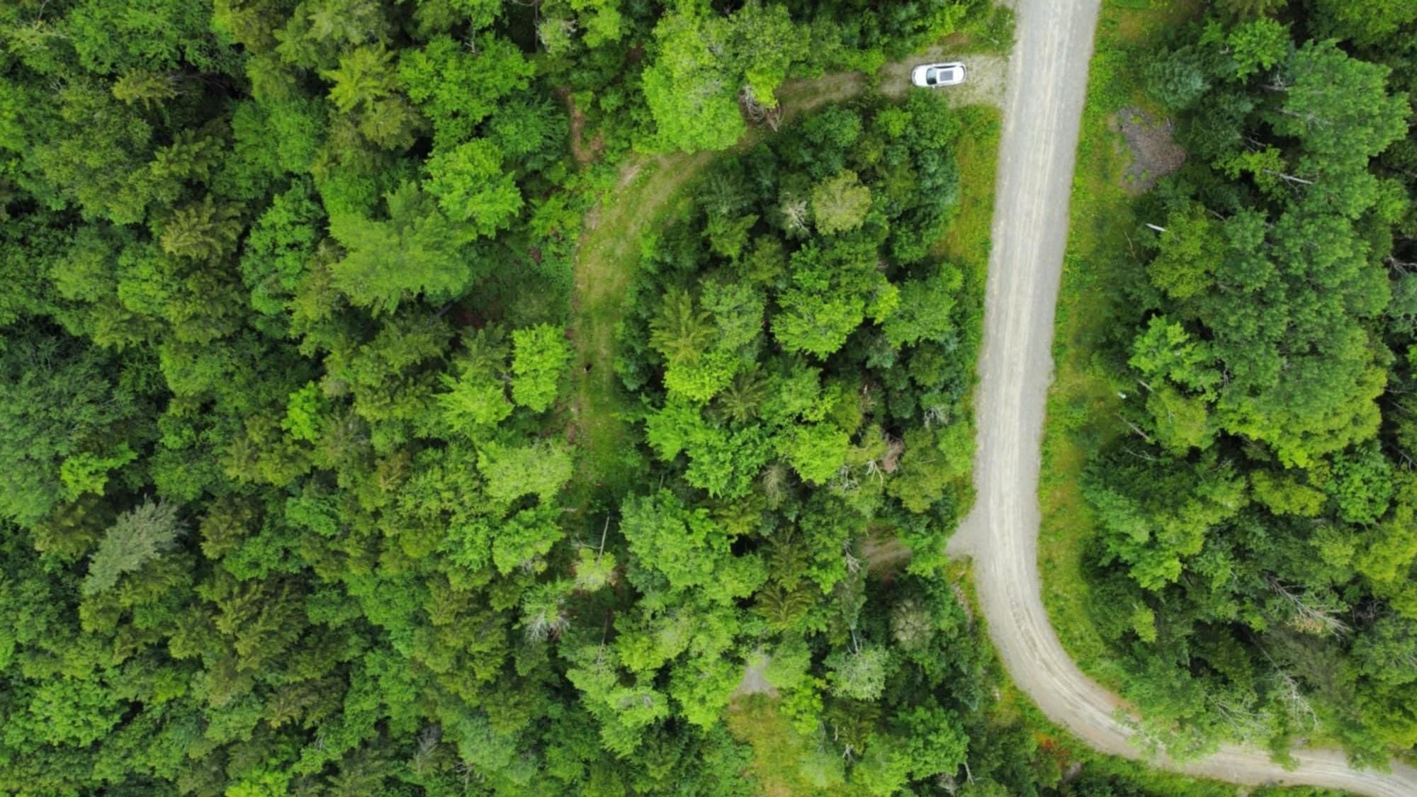 11 Mill Brook Road Sandy River Plt ME 04970