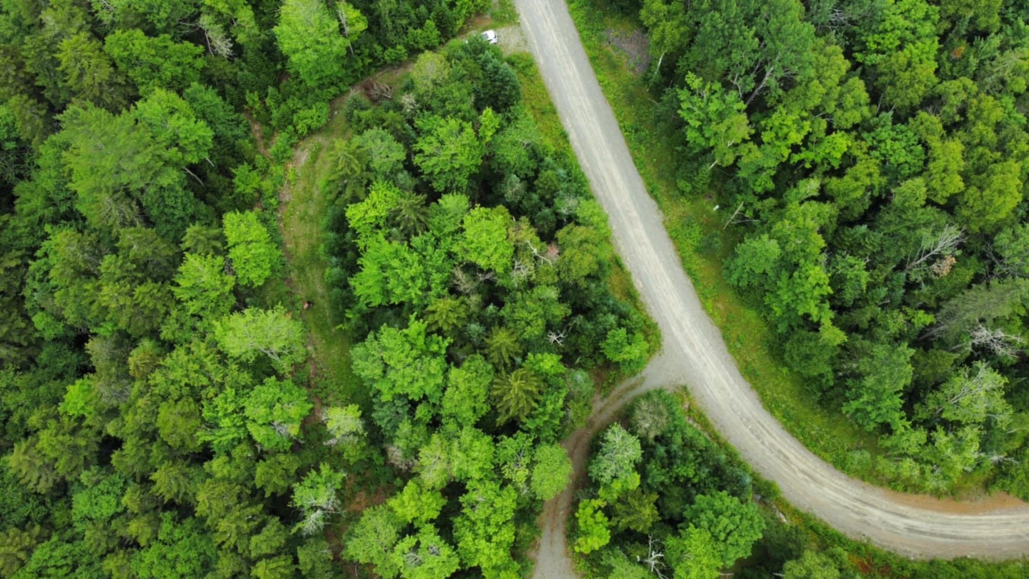 11 Mill Brook Road Sandy River Plt ME 04970