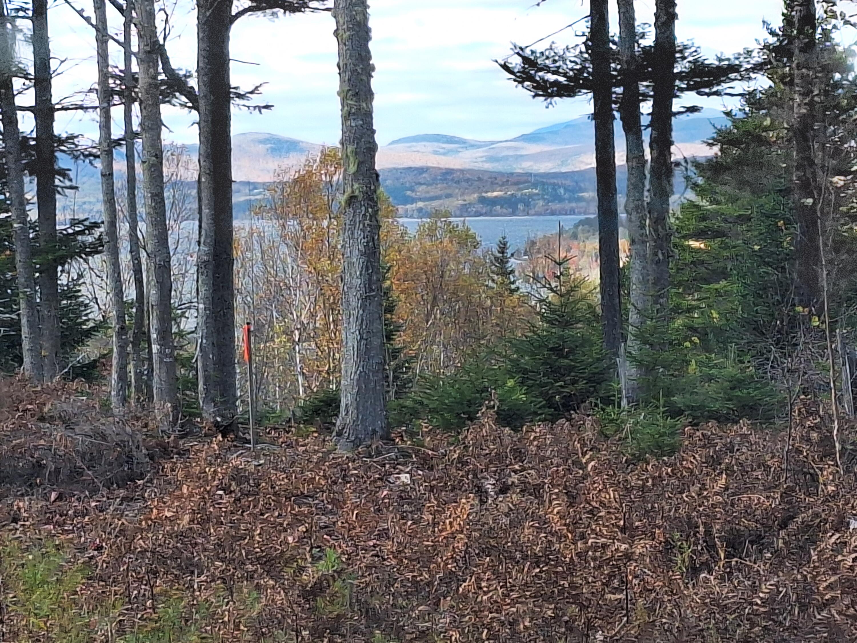 11 Mill Brook Road Sandy River Plt ME 04970