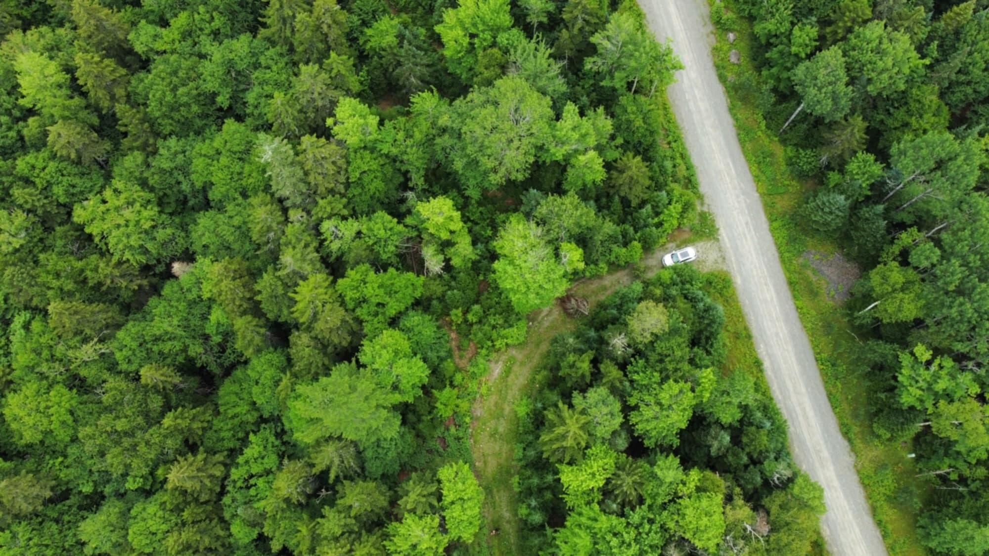 11 Mill Brook Road Sandy River Plt ME 04970