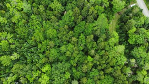 11 Mill Brook Road Sandy River Plt ME 04970