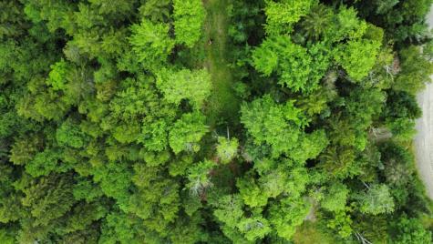 11 Mill Brook Road Sandy River Plt ME 04970