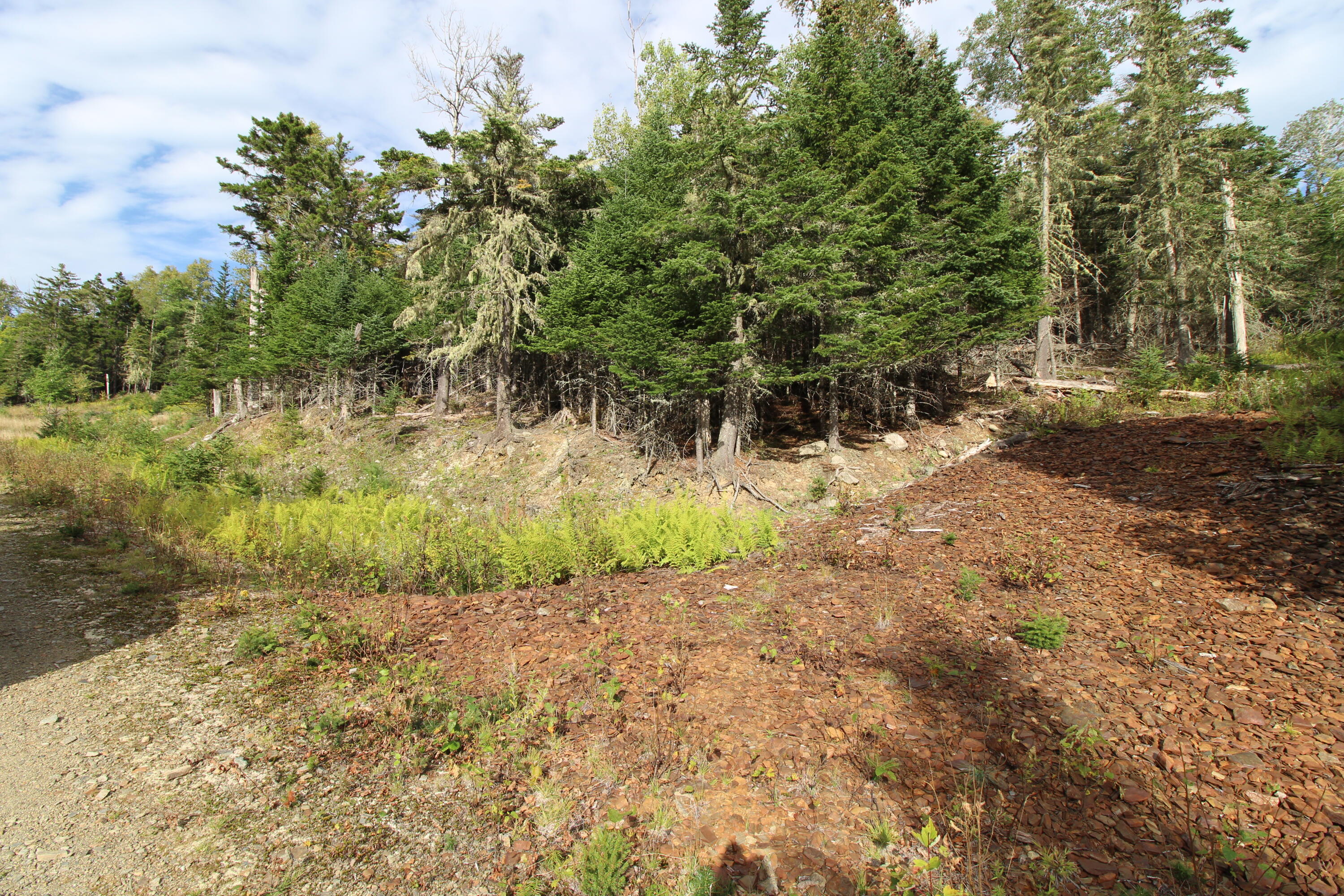 Lot 8 Wheeler Road Rangeley ME 04970