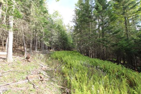 Lot 8 Wheeler Road Rangeley ME 04970