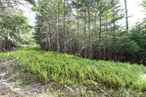 Lot 8 Wheeler Road Rangeley ME 04970