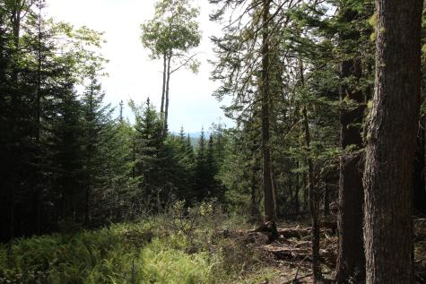 Lot 8 Wheeler Road Rangeley ME 04970