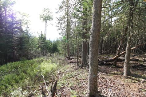 Lot 8 Wheeler Road Rangeley ME 04970
