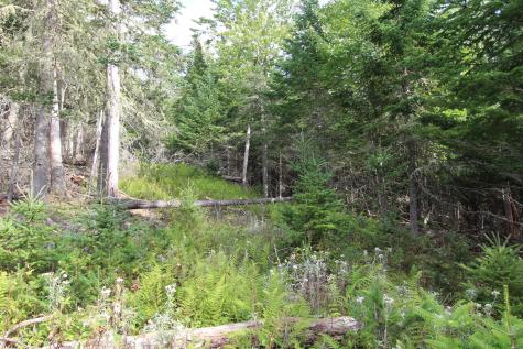 Lot 8 Wheeler Road Rangeley ME 04970