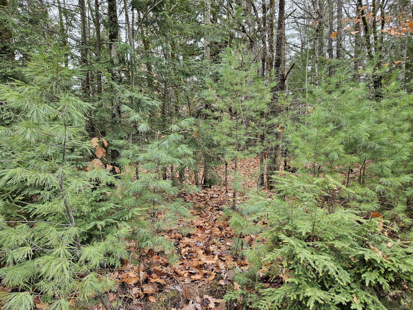 M5 L38 Winding Hill Road Norridgewock ME 04957