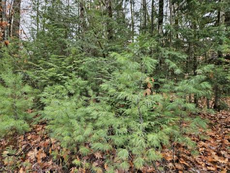 M5 L38 Winding Hill Road Norridgewock ME 04957