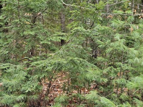 M5 L38 Winding Hill Road Norridgewock ME 04957