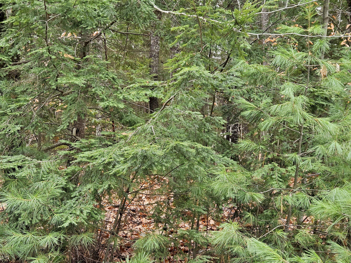 M5 L38 Winding Hill Road Norridgewock ME 04957