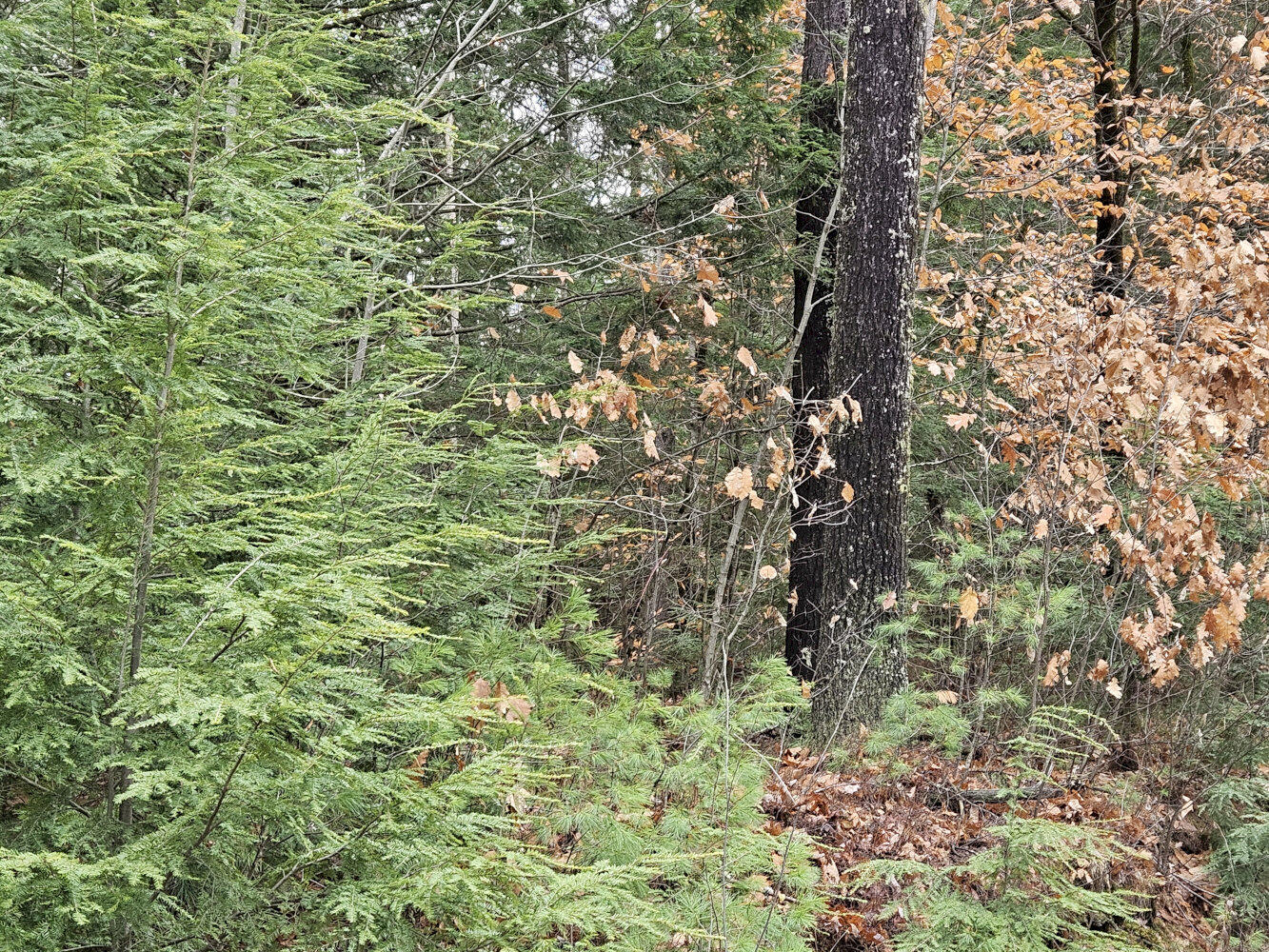 M5 L38 Winding Hill Road Norridgewock ME 04957