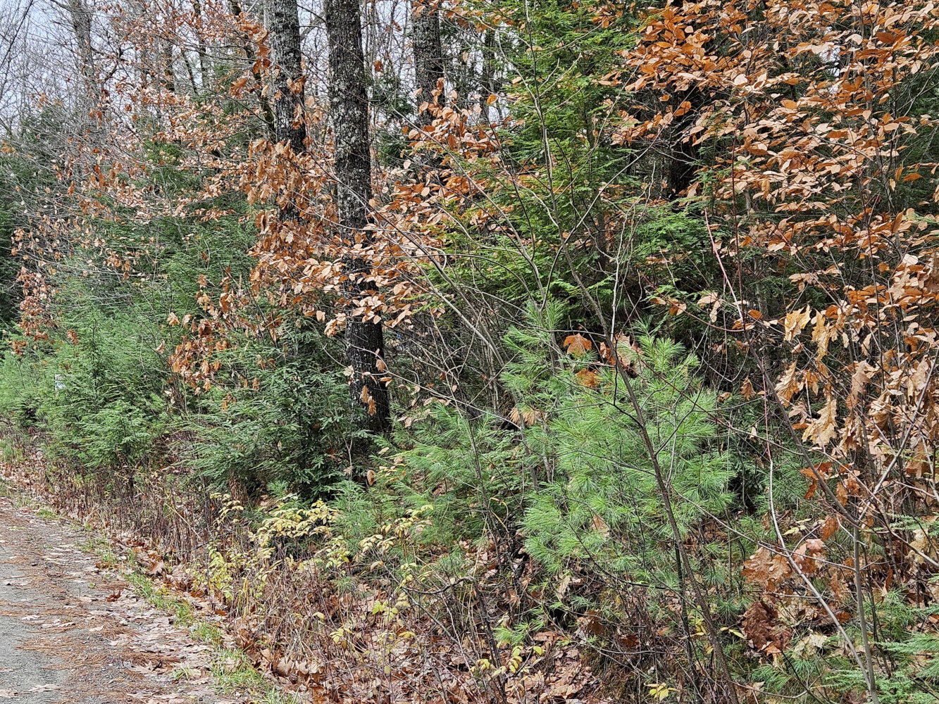 M5 L38 Winding Hill Road Norridgewock ME 04957