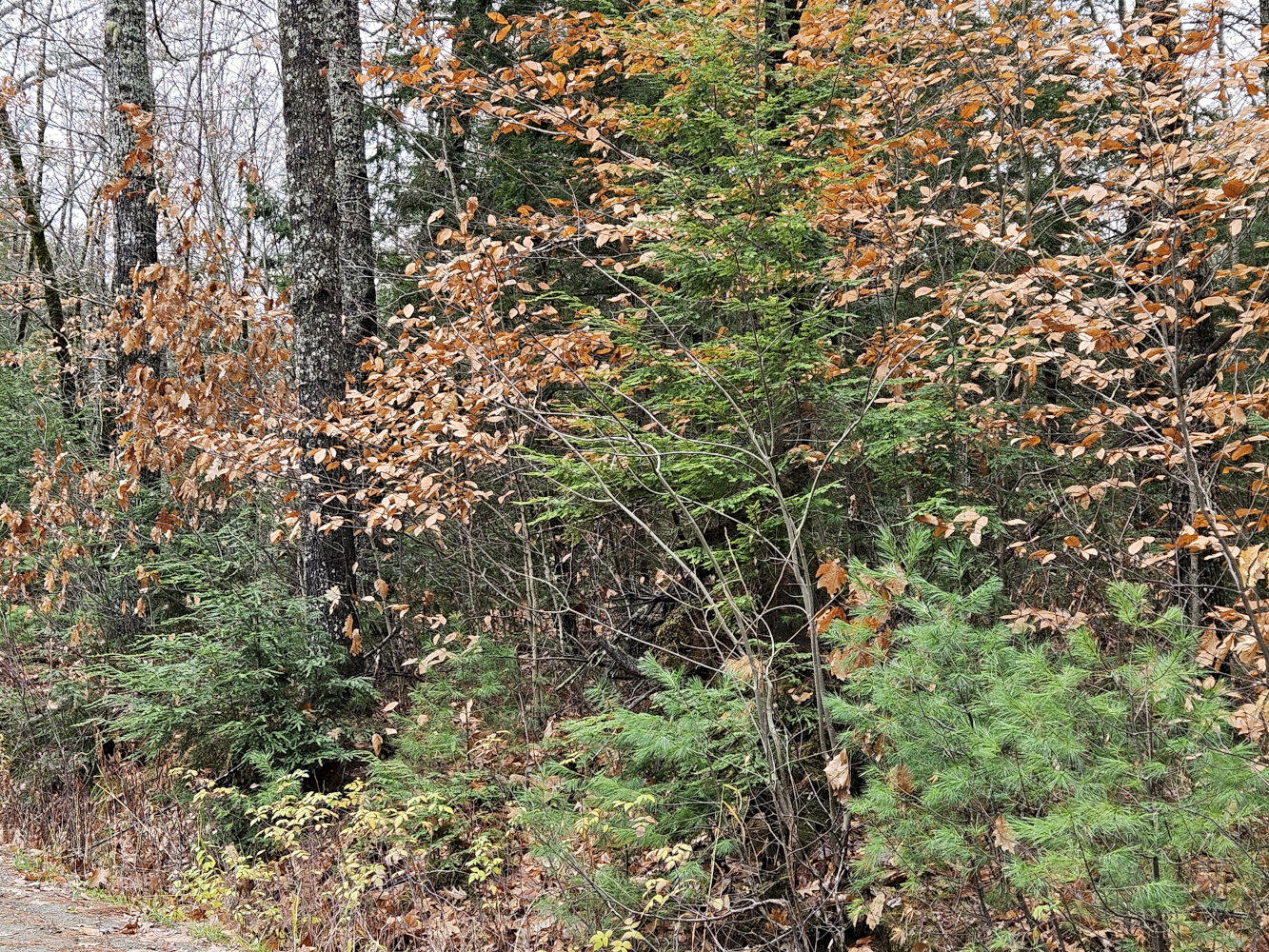 M5 L38 Winding Hill Road Norridgewock ME 04957