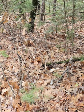 M5 L38 Winding Hill Road Norridgewock ME 04957