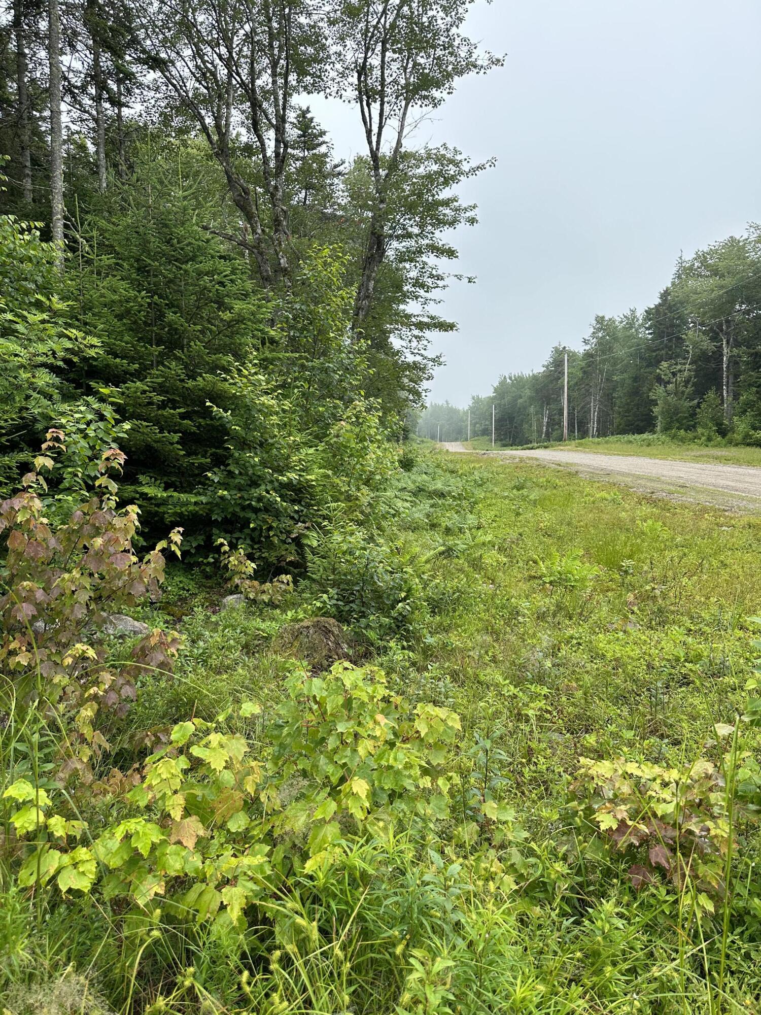 Lot 44 Estates Road Steuben ME 04680