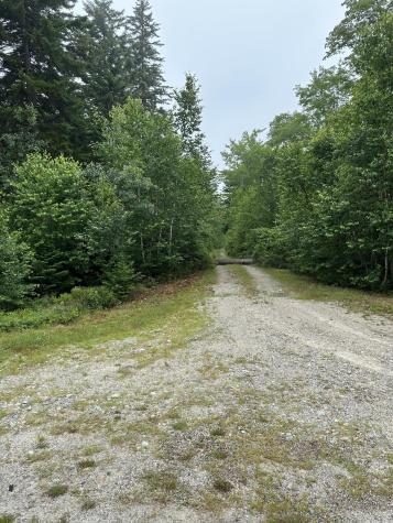 Lot 44 Estates Road Steuben ME 04680