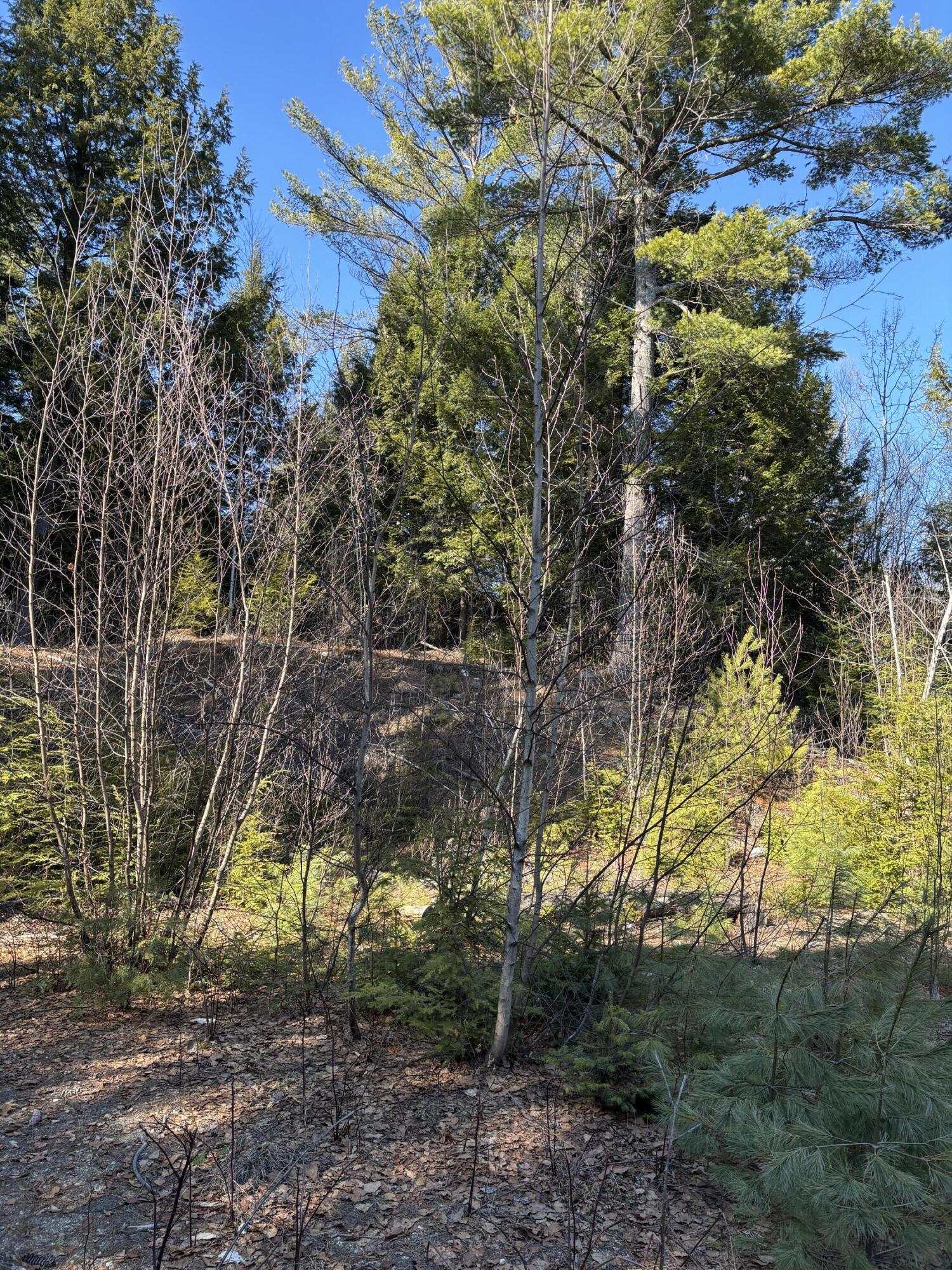 7 Bog Brook Loop West Paris ME 04289