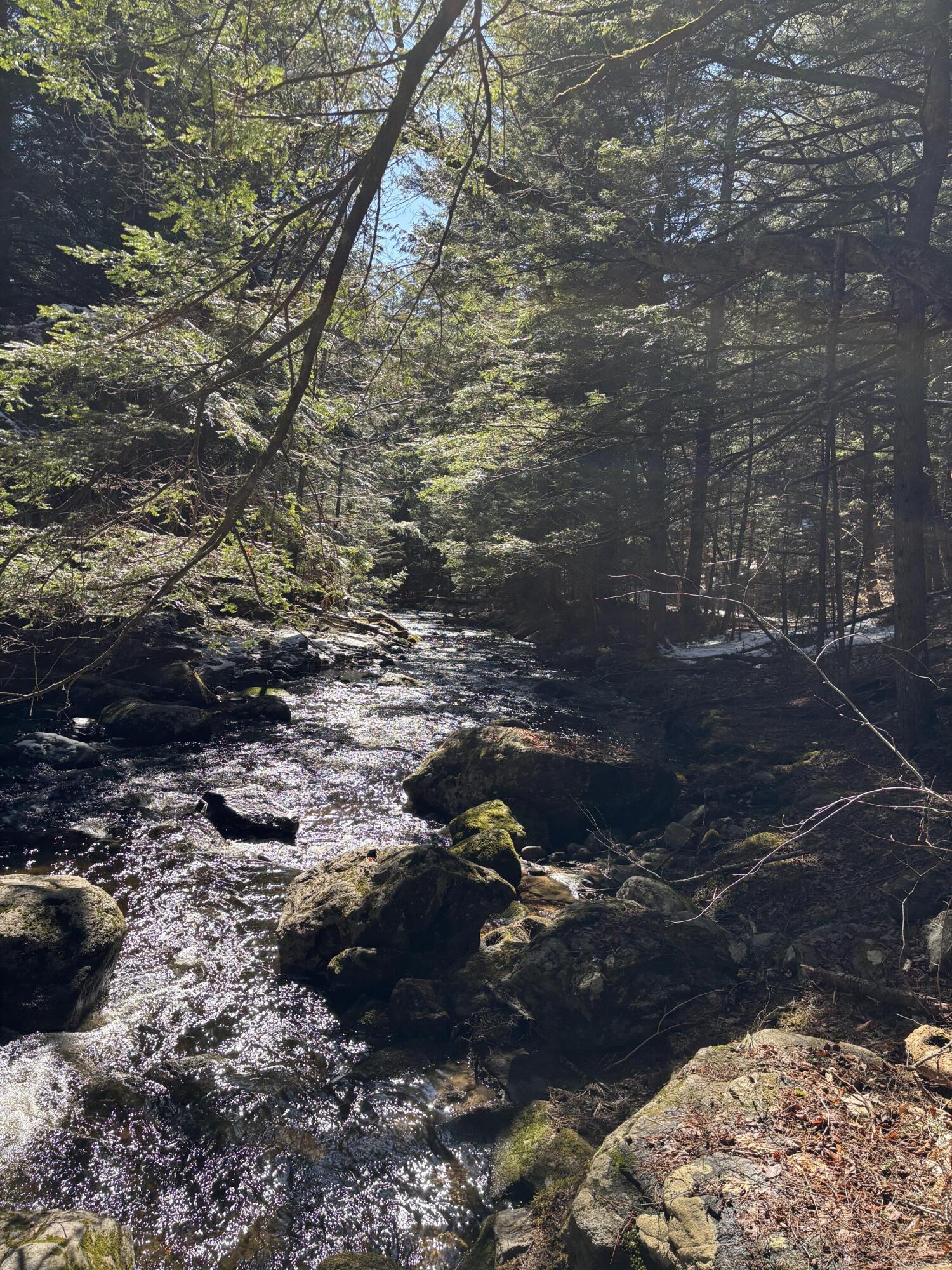 7 Bog Brook Loop West Paris ME 04289
