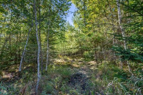 LOT#10 Tilden Way Lamoine ME 04605