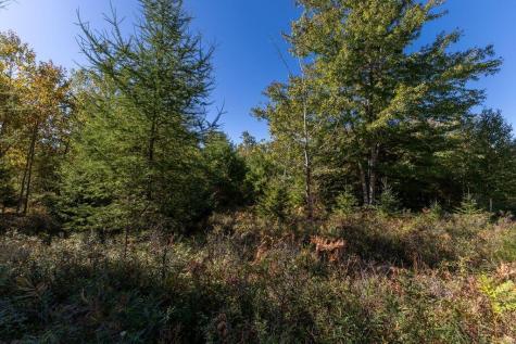 LOT#10 Tilden Way Lamoine ME 04605