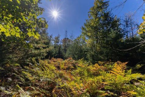 LOT#10 Tilden Way Lamoine ME 04605