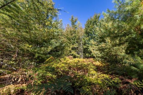 LOT#10 Tilden Way Lamoine ME 04605