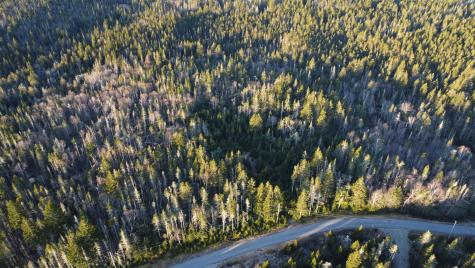 27-28 Yoho Head Road Machiasport ME 04655