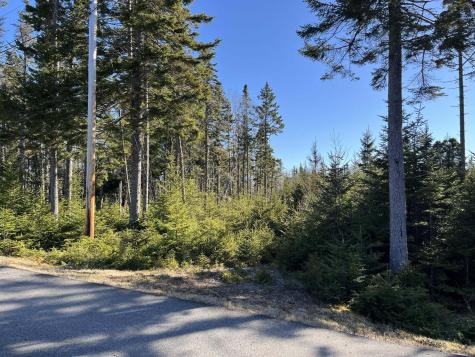 27-28 Yoho Head Road Machiasport ME 04655