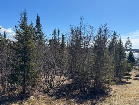 M17 L15 Battle Avenue Castine ME 04421