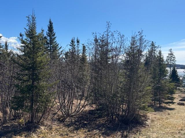 M17 L15 Battle Avenue Castine ME 04421