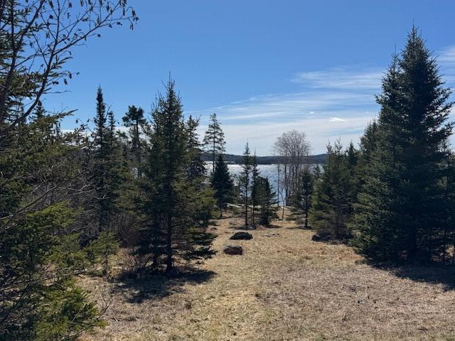 M17 L15 Battle Avenue Castine ME 04421