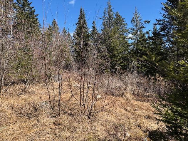 M17 L15 Battle Avenue Castine ME 04421