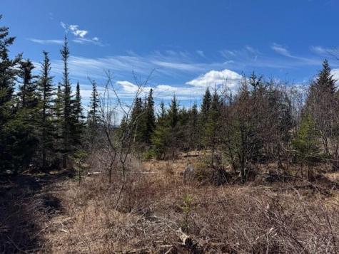 M17 L15 Battle Avenue Castine ME 04421